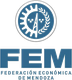 FEM